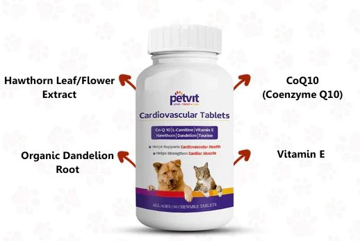 Dandelion extract benefits