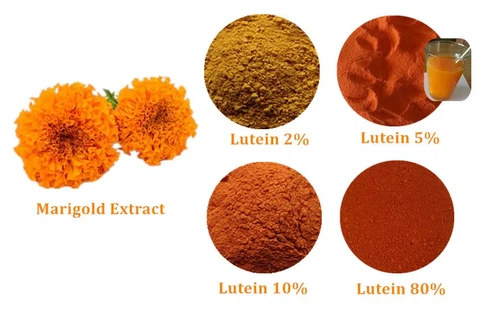 Lutein powder Lutein powder