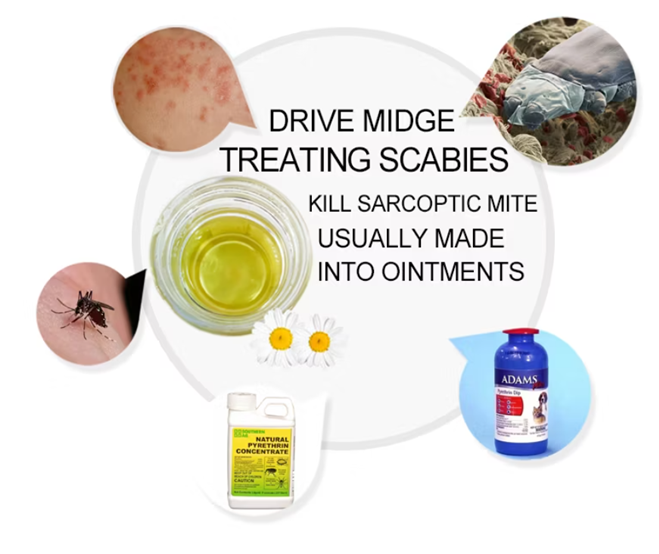 product-659-554 product-659-554